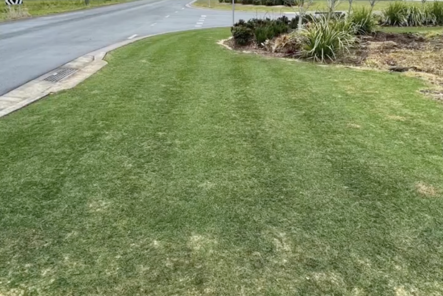 Gallery Reno results